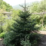 дом бакалски-кмета Gæstehus Narechenski Bani