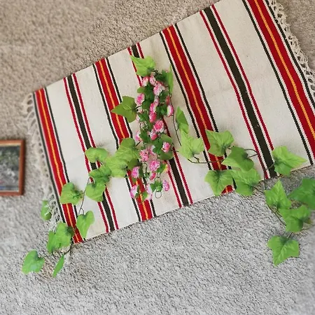 дом бакалски-кмета Guest house Narechenski Bani