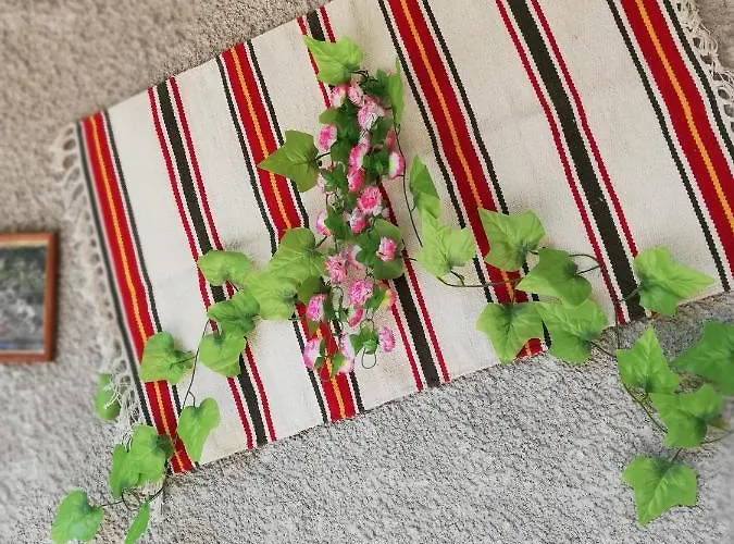 дом бакалски-кмета Guest house Narechenski Bani