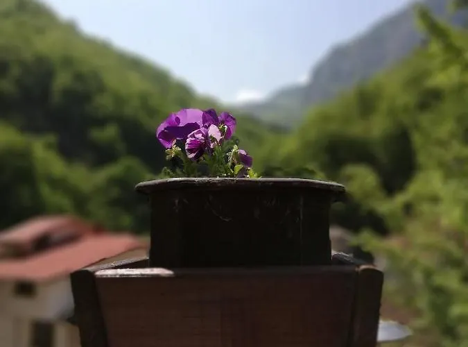 дом бакалски-кмета 3* Narechenski Bani