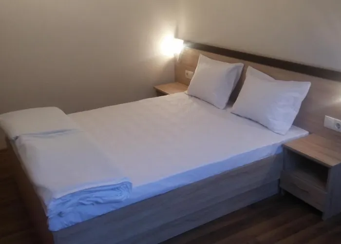 дом бакалски-кмета 3* Narechenski Bani