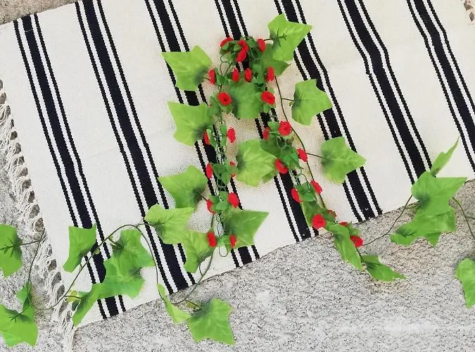 дом бакалски-кмета 3*