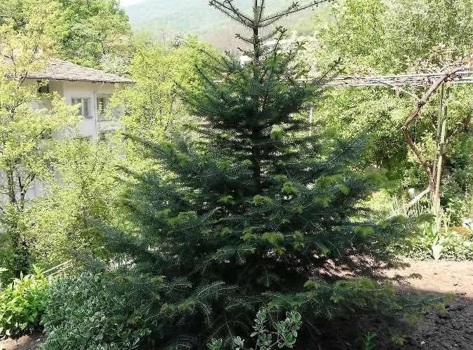 дом бакалски-кмета Guest house Narechenski Bani